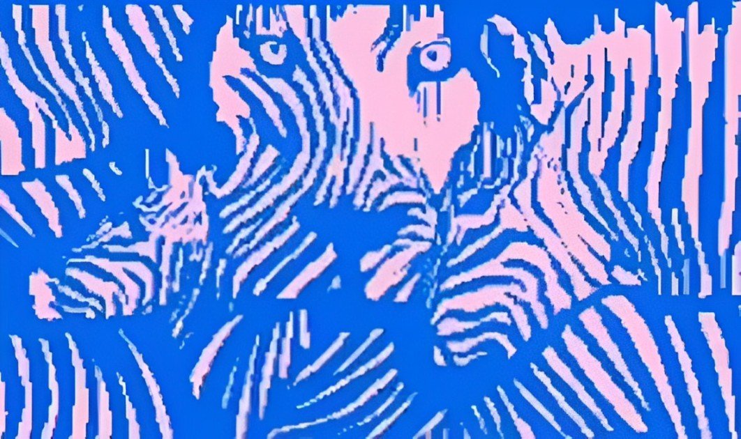 Optical Illusion Test
