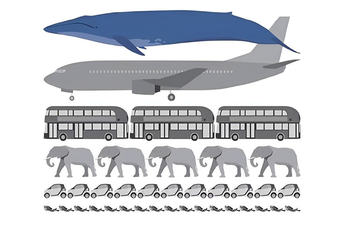 Equal to the weight of 04 Boeing 737 and equal to the weight of 15 double-decker buses, 40 African elephants, 270 cars and 3333 humans.
